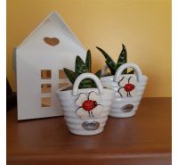 Ceramic basket with succulent plant