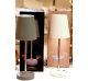 Brandani Altair wireless table lamp