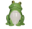 Brandani jar Dolomite Frog